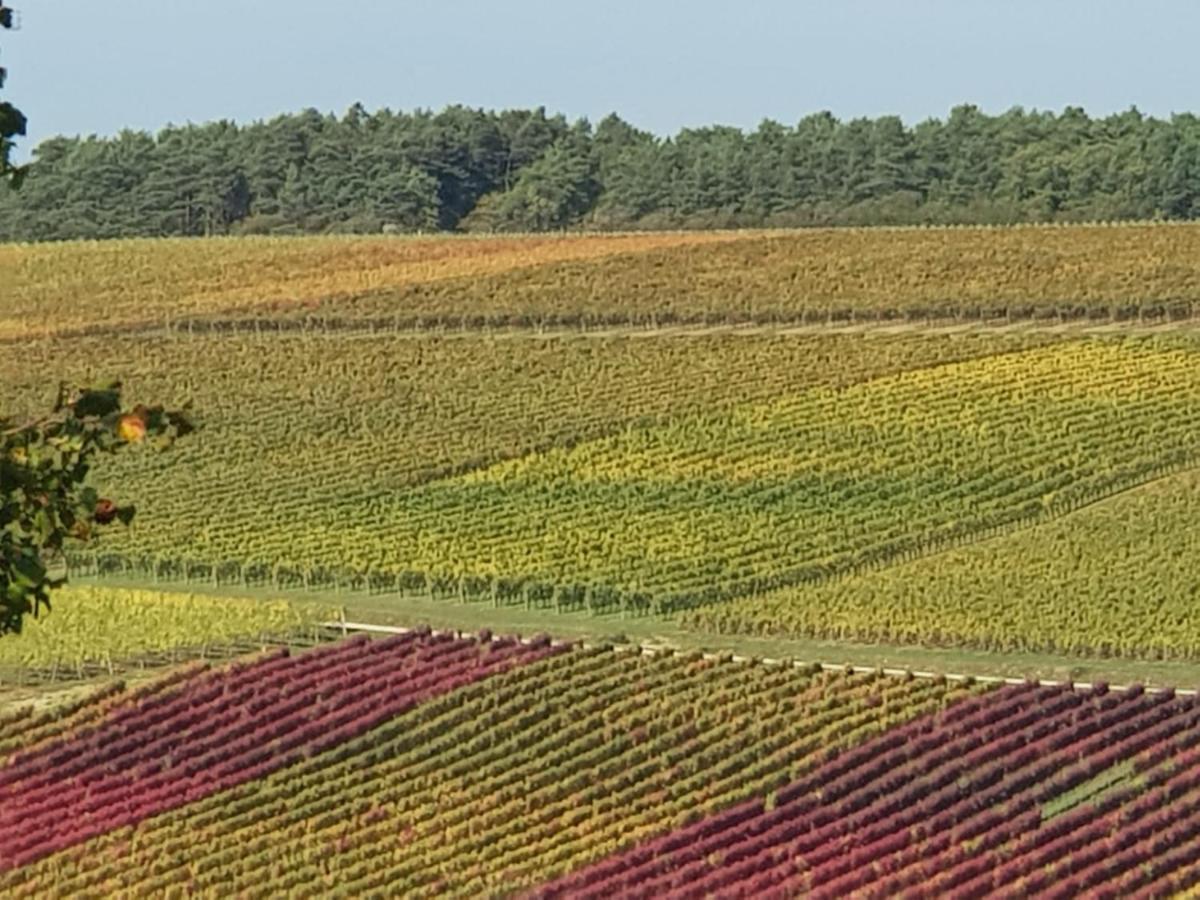 Le Bois De Laval Acomodação com café da manhã Marey-les-Fussey Exterior foto
